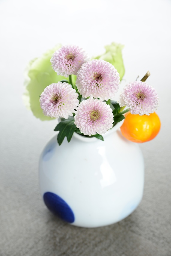 淡い桃色のポンポン咲きの小菊