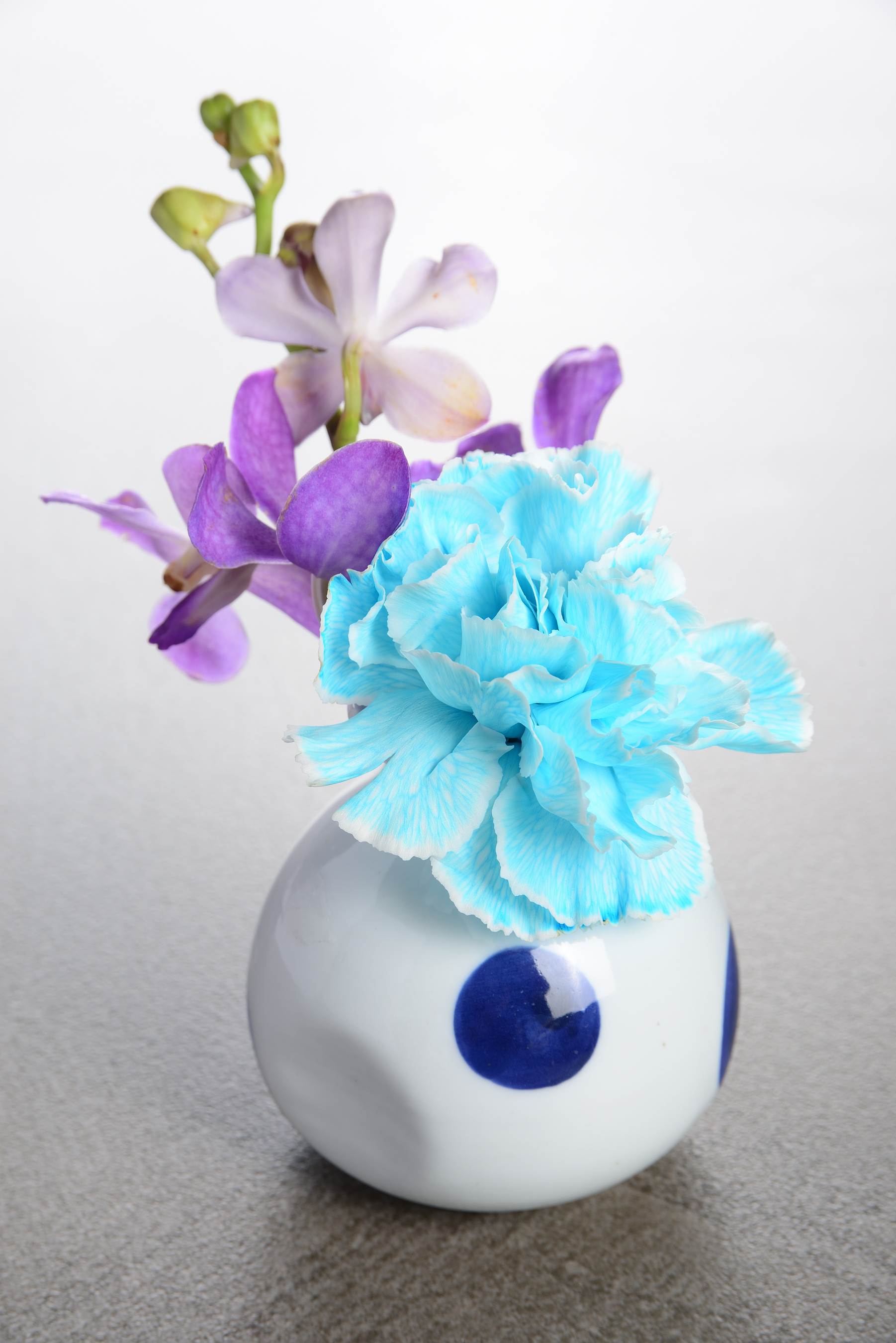水色のカーネーションと紫の蘭 青い水玉の花瓶