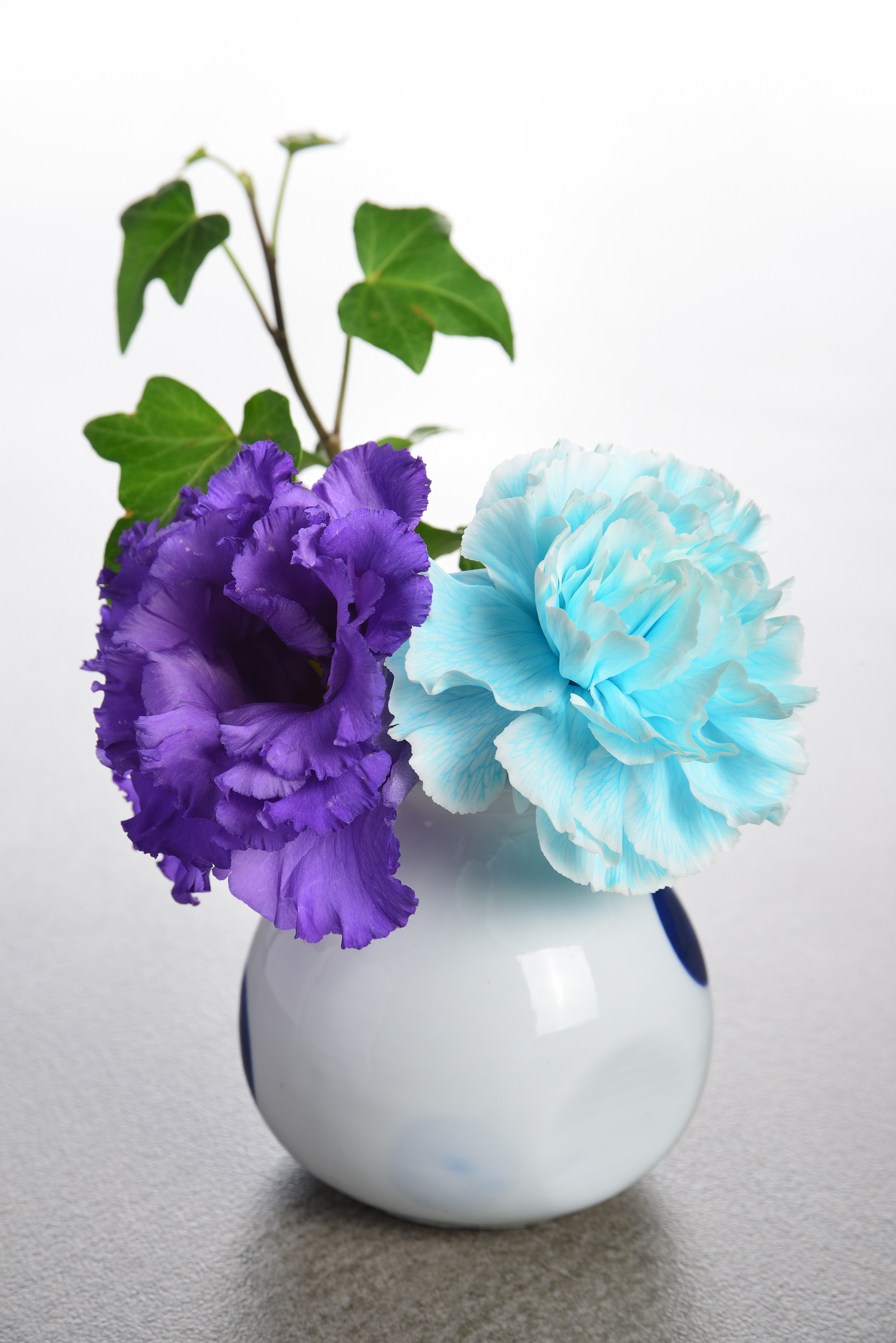 深い紫の花と水色のカーネーション 緑のつる葉