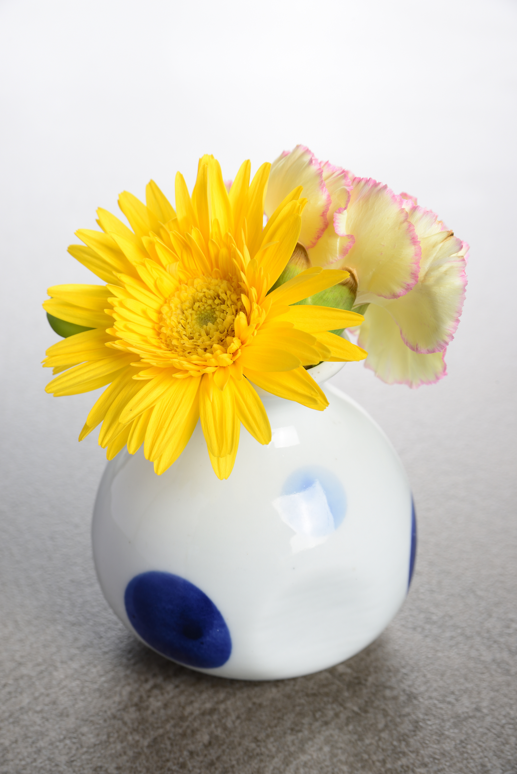 お日さま色の黄色いガーベラと白に桃色の縁取りの花