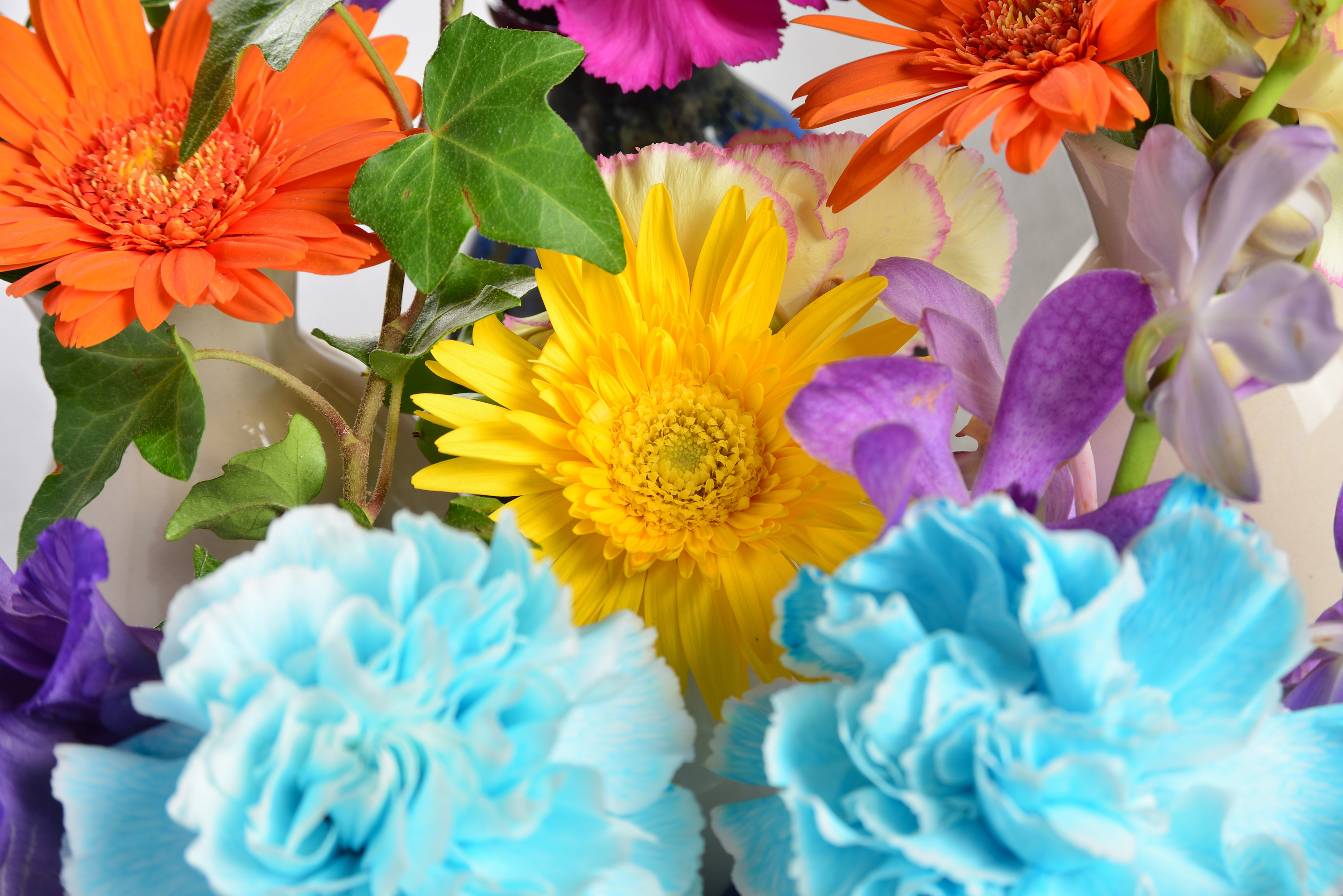 10月の花々を上から 水色のカーネーションとガーベラ