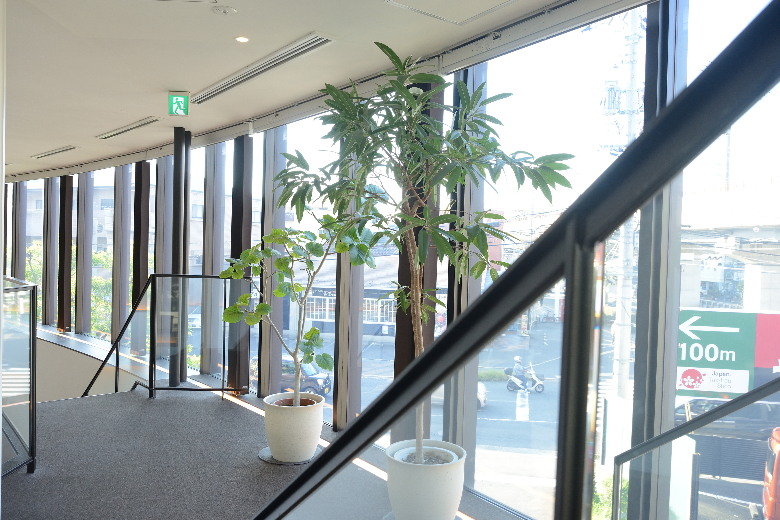 踊り場の観葉植物と窓の外の街